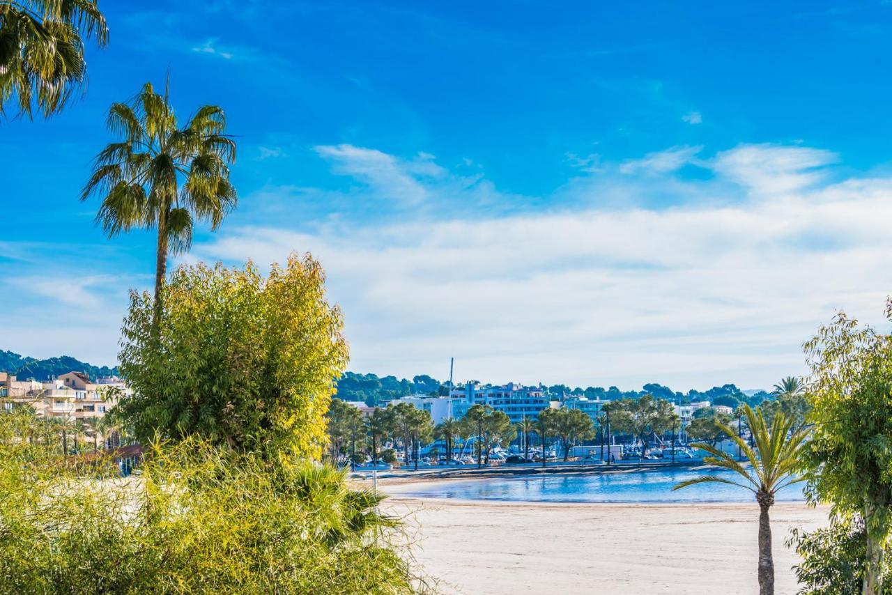Ideal Property Mallorca - Cittadini 37 Αλκούδια Εξωτερικό φωτογραφία