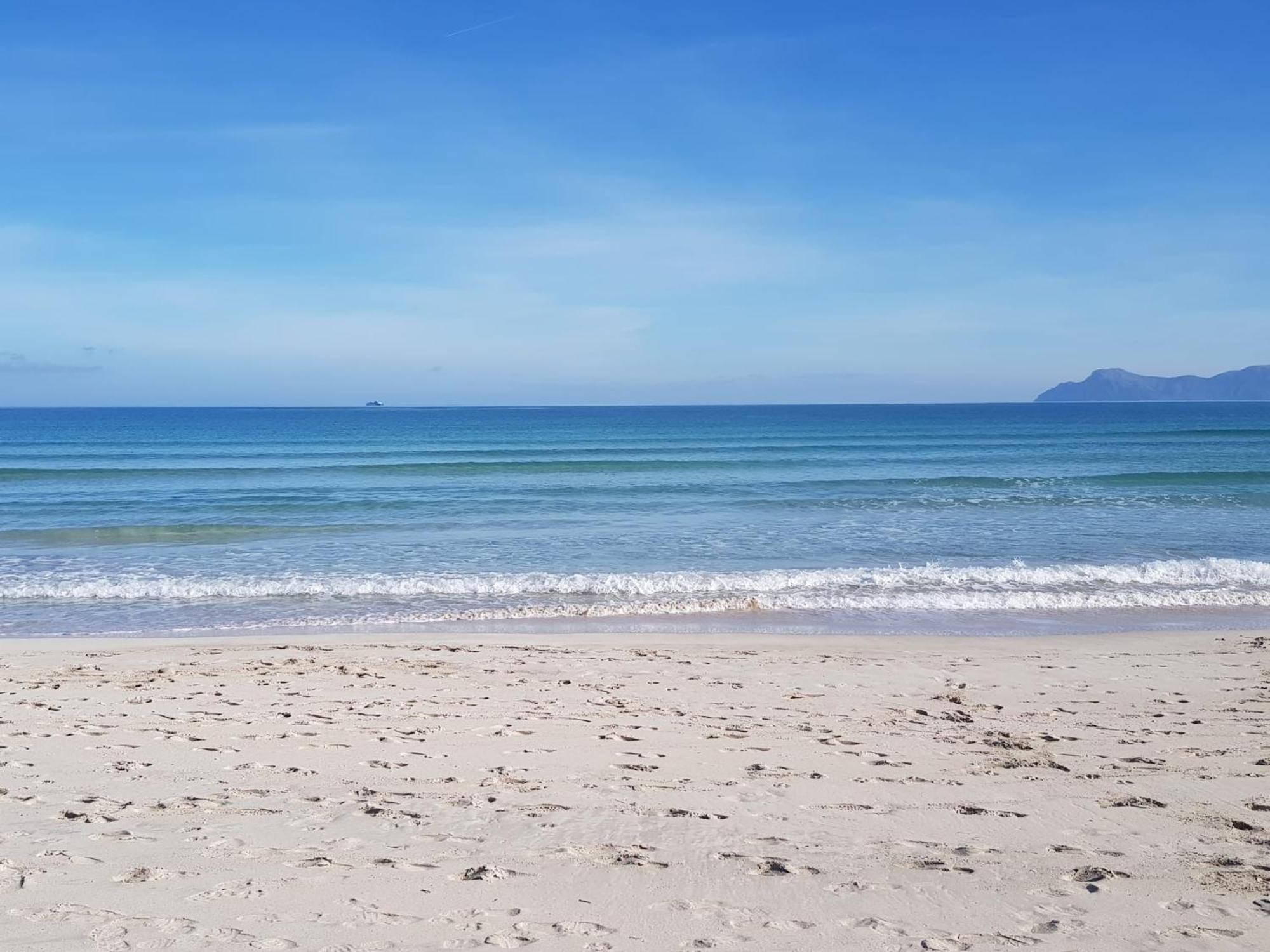 Ideal Property Mallorca - Cittadini 37 Αλκούδια Εξωτερικό φωτογραφία